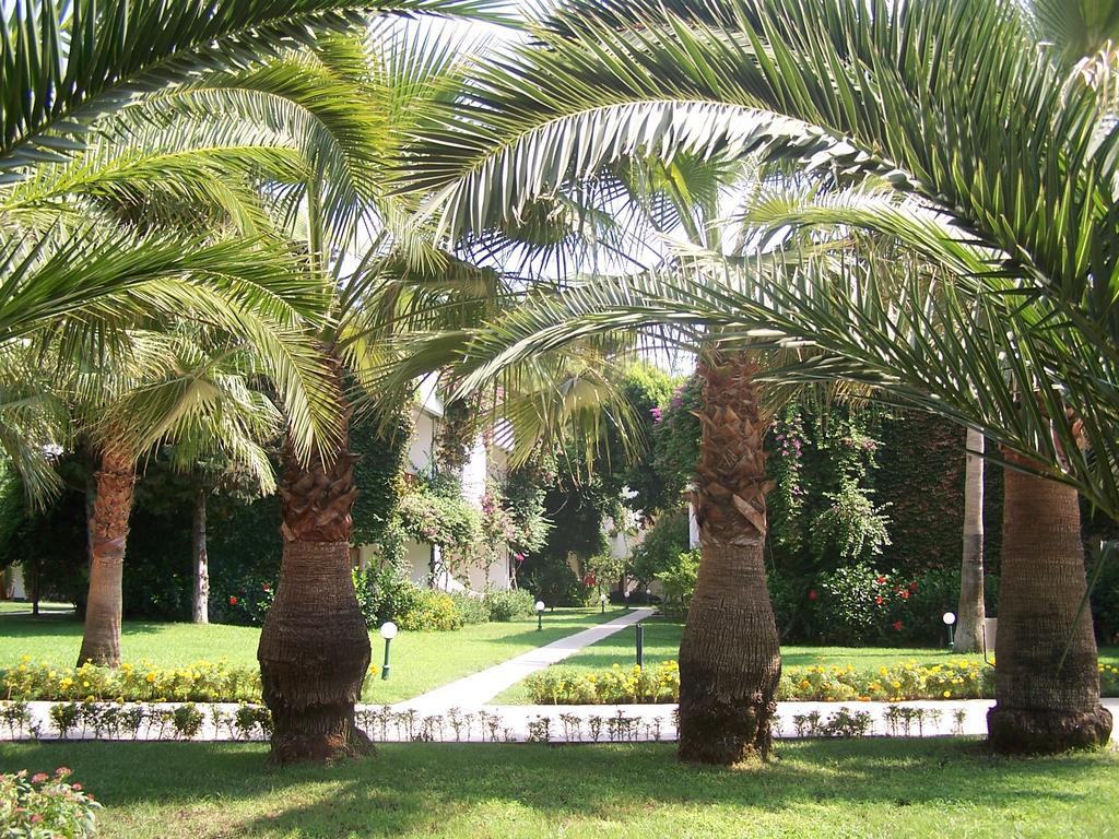 Club Boran Mare Beach Kemer Exterior foto